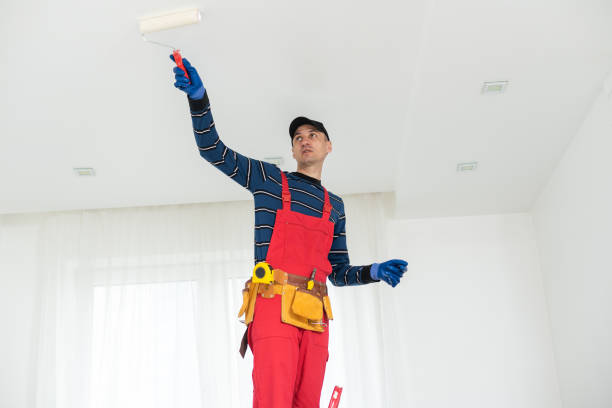 Mold Odor Removal Services in Williston, ND