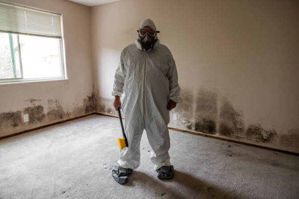 Best Airborne Mold Testing  in Williston, ND